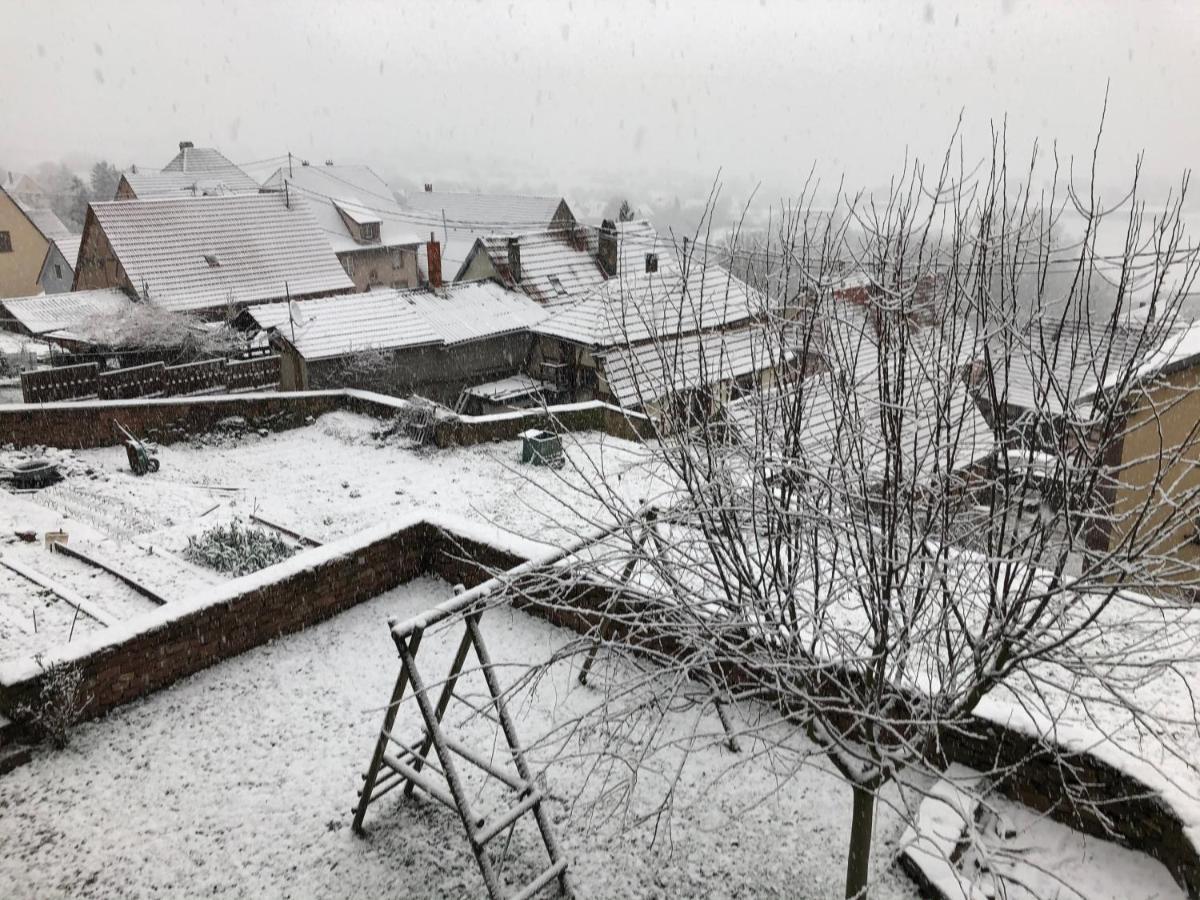 Gite L'Instant Durable Oberbronn Екстер'єр фото