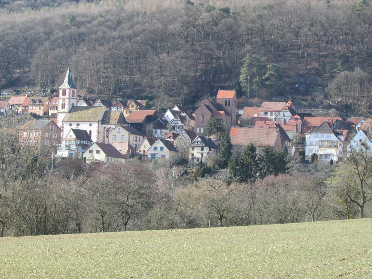Gite L'Instant Durable Oberbronn Екстер'єр фото
